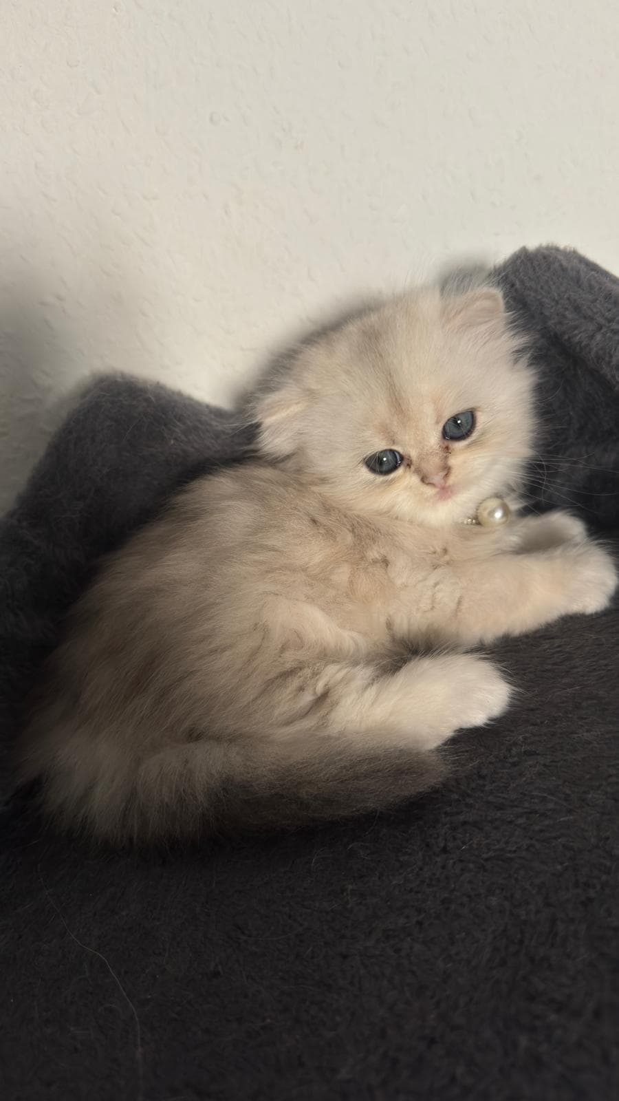 Foto 1 von sie