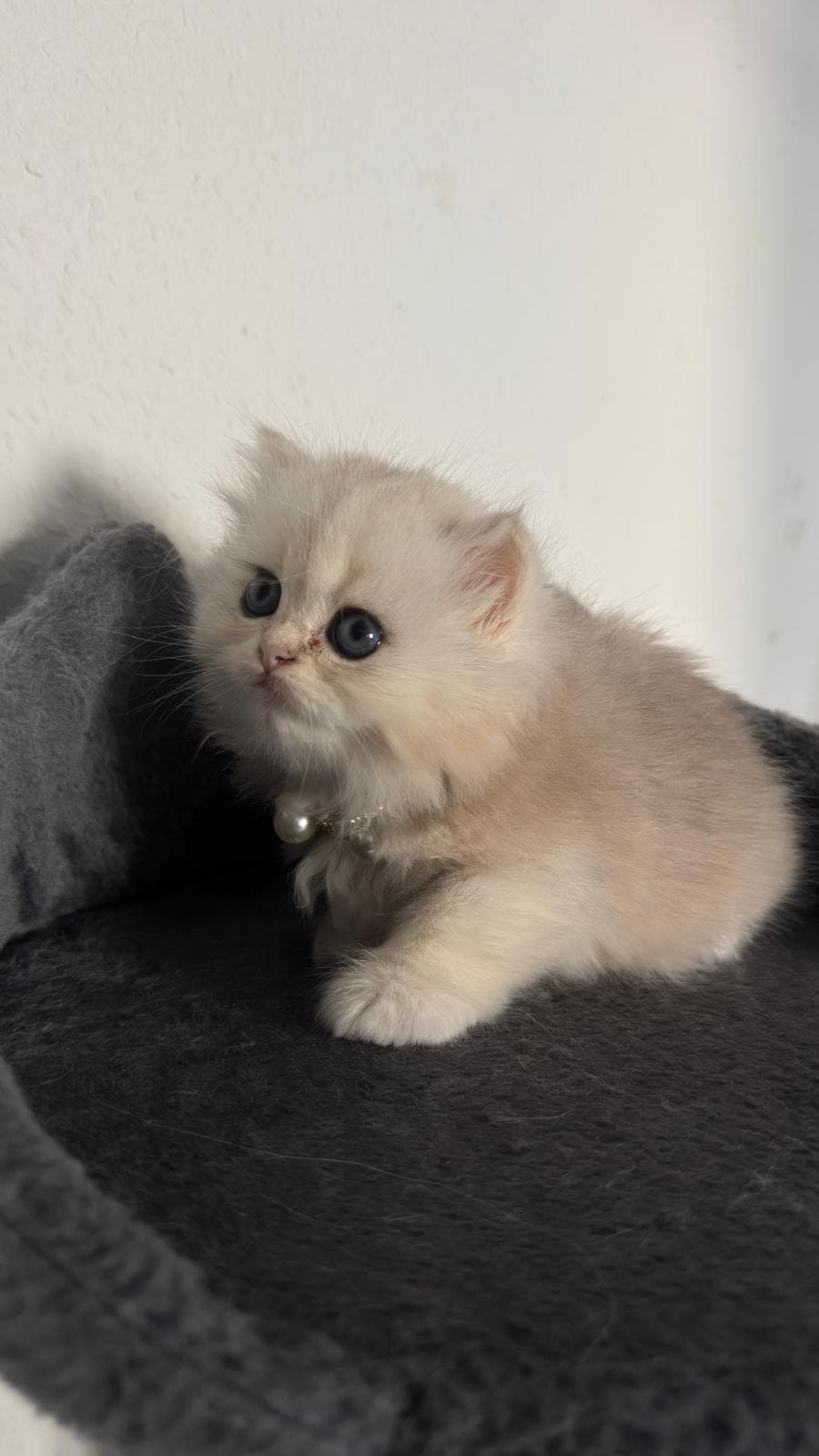 Foto 4 von sie